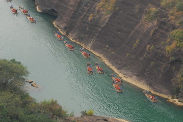 动物励志小故事