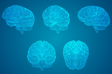 关于专注成功的事例