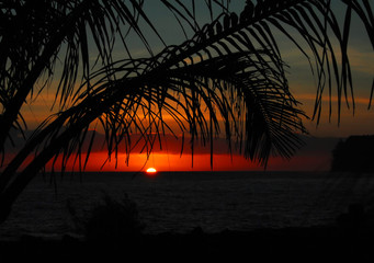 慢性病卡如何办理流程