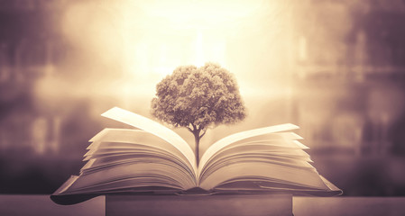 一个活血化瘀的千古名方