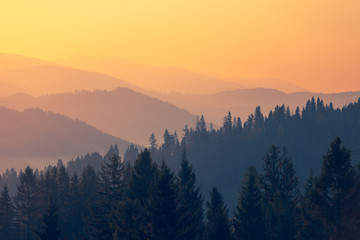 关于专注成功的事例