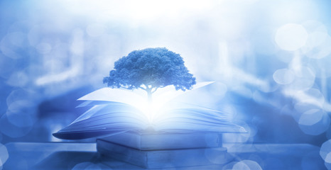 科普讲解大赛主题名称大全