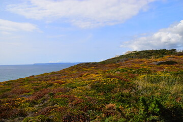 幼儿园家长开放日活动方案及流程