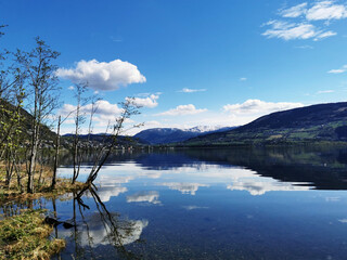 一个活血化瘀的千古名方