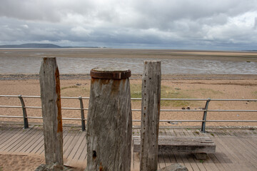 送你两本关于植物的书
