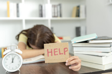 动物励志小故事