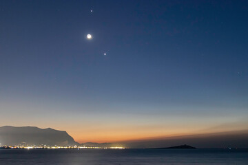 送你两本关于植物的书