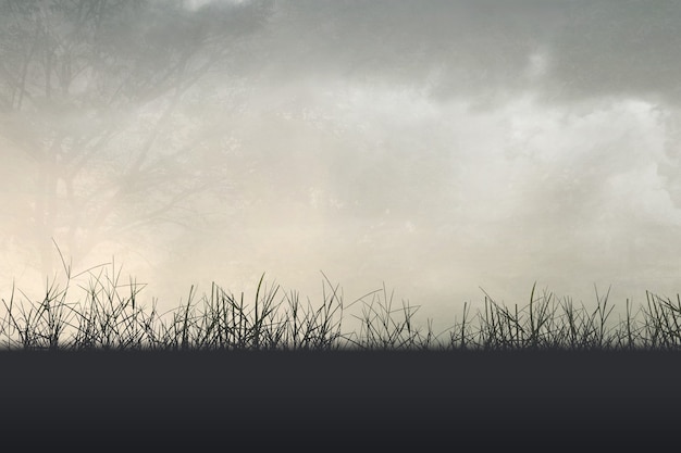 慢性病卡如何办理流程