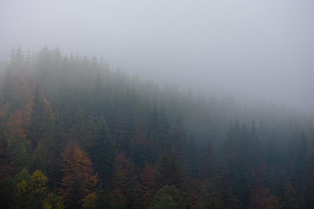 广东人早餐吃什么？