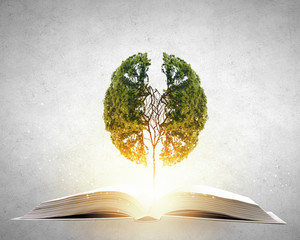 动物励志小故事