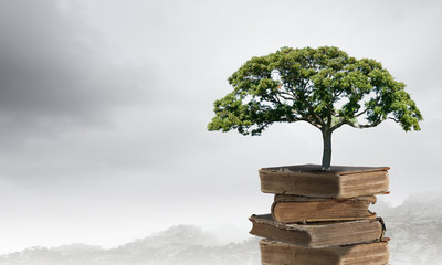 一个活血化瘀的千古名方