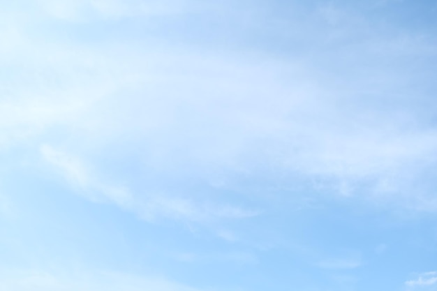 幼儿园家长开放日活动方案及流程