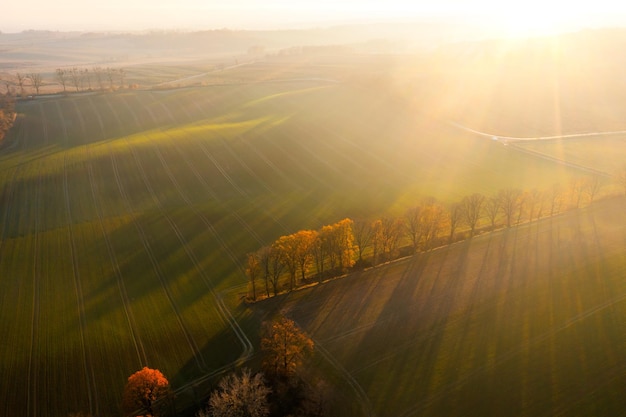 广东人早餐吃什么？