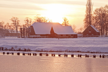 动物励志小故事