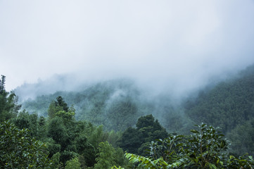 幼儿园家长开放日活动方案及流程